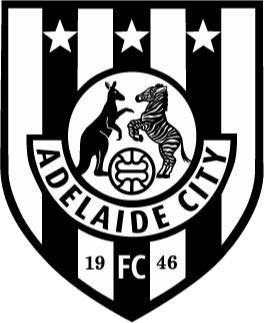 https://img.djdaren.com/img/football/team/c53c8f45736002b26511570a746b6b64.png